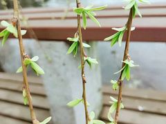 -公益图书馆(江南大学店)