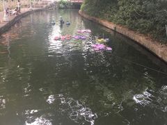 -珠海圆明新园