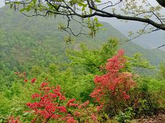 -大慈岩风景区