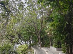 -南宁南湖公园