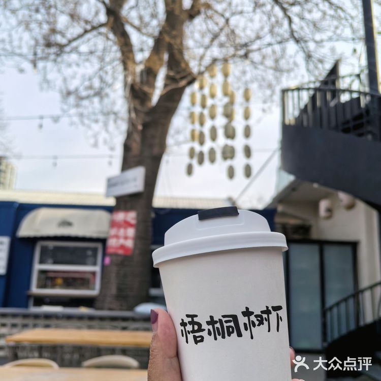 📌梧桐树下的咖啡☕｜不光香还超级浪漫