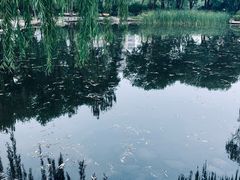 -玲珑塔公园