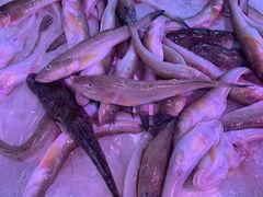 -芦潮港集贸市场