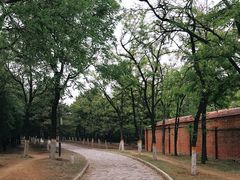 -云岗森林公园