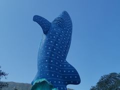 -珠海长隆海洋王国