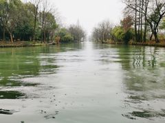 -西溪国家湿地公园