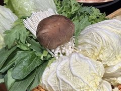 -友乐居羊蝎子(西直门店)