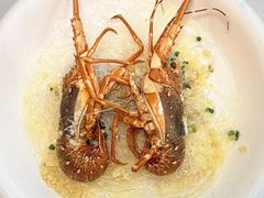 -绿雅居原生态农庄(小涌店)
