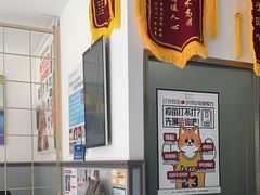 -伟伟宠物医院·瑞派猫友好医院·猫科(光谷店)