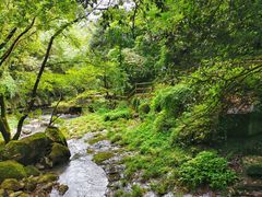 -溪口-滕头旅游景区