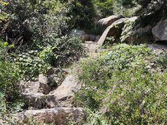 -大泽山风景名胜区