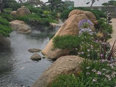 -罗红摄影艺术馆