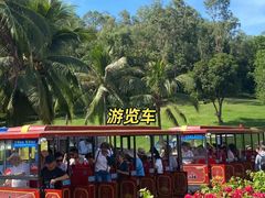 -三亚南山文化旅游区