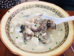 黑鱼豆腐汤（属于黑鱼双吃）-胡子饮食店