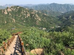 -大岭沟猕猴桃谷风景区