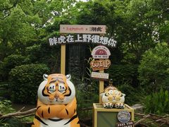 -上海野生动物园