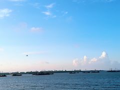 吕四渔港-吕四渔港