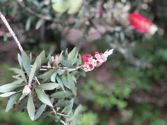 -苏州河梦清园环保主题公园