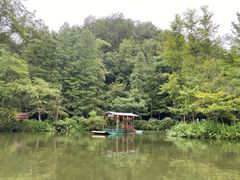 -桂林古东瀑布景区