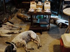 -席娜卡琳火车铁道夜市