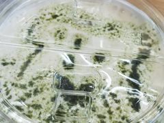 -爸爸糖吐司面包(郑州正弘城店)