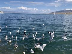 -青海湖国家重点风景名胜区