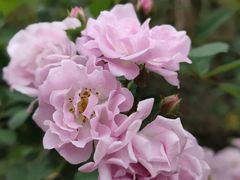 -白鹭湾湿地公园