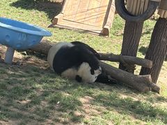 -秦皇岛野生动物园
