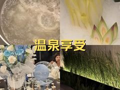 -曲水兰亭·兰亭·宴(上海虹桥店)