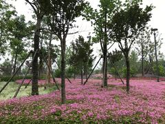 -江南大学(蠡湖校区)