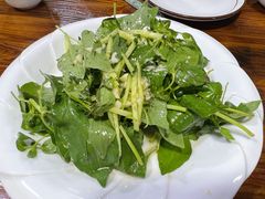 凉拌荆芥-伊犁羊杂馆