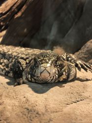 -Zoolung Zoolung动物主题公园(海信广场店)