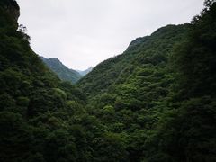 -终南山国家森林公园