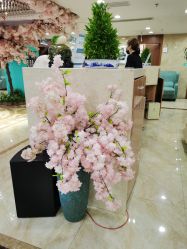 -重庆军美医疗美容医院