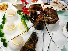 -顺德食府(大明湖店)