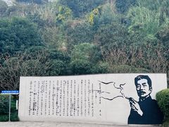-重庆园博园