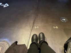 -翱翔飞越地平线