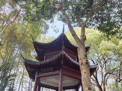 -杭州黄龙洞