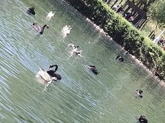 -长白岛森林公园