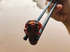 -白氏鲶鱼汤(白亮1号店)