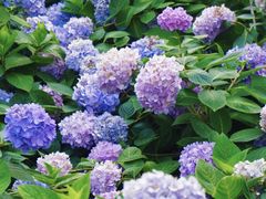 -常州古运河南大街文化旅游区-人民公园