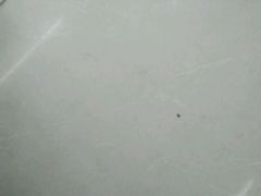 -嘉百乐超市(新东街店)