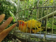 -东部华侨城