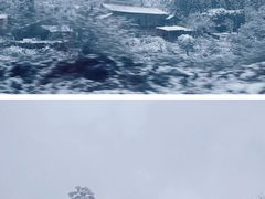-龙苍沟森林公园