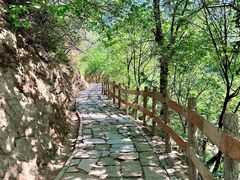 -大岭沟猕猴桃谷风景区