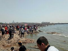 -金太狼4k国际影城