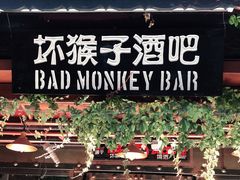 -坏猴子