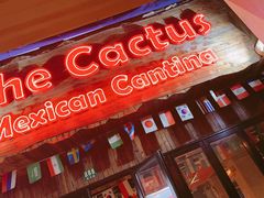 -Cactus墨西哥仙人掌餐厅
