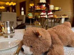 -Salon de Ville浦江汇(上海外滩华尔道夫酒店店)