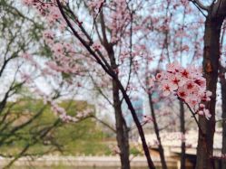 -大望京儿童游乐场